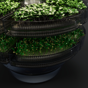 3D product renders of indoor garden