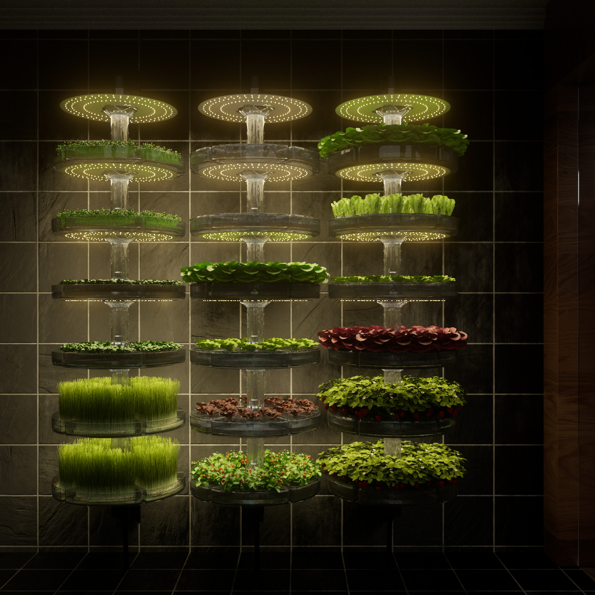 3D product renders of indoor garden