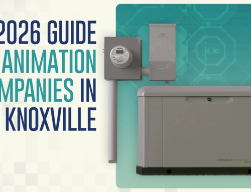 A 2026 Guide to Animation Companies in Knoxville